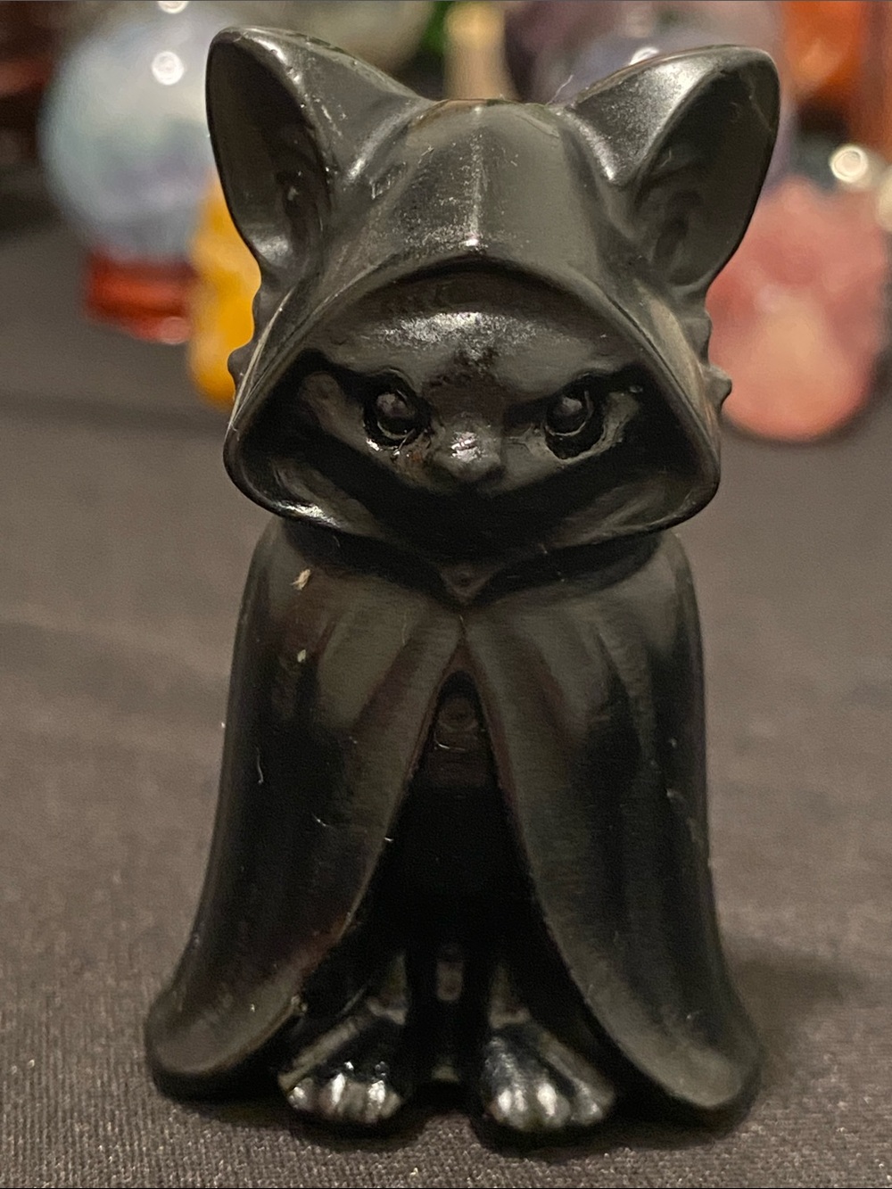 Witchy cats